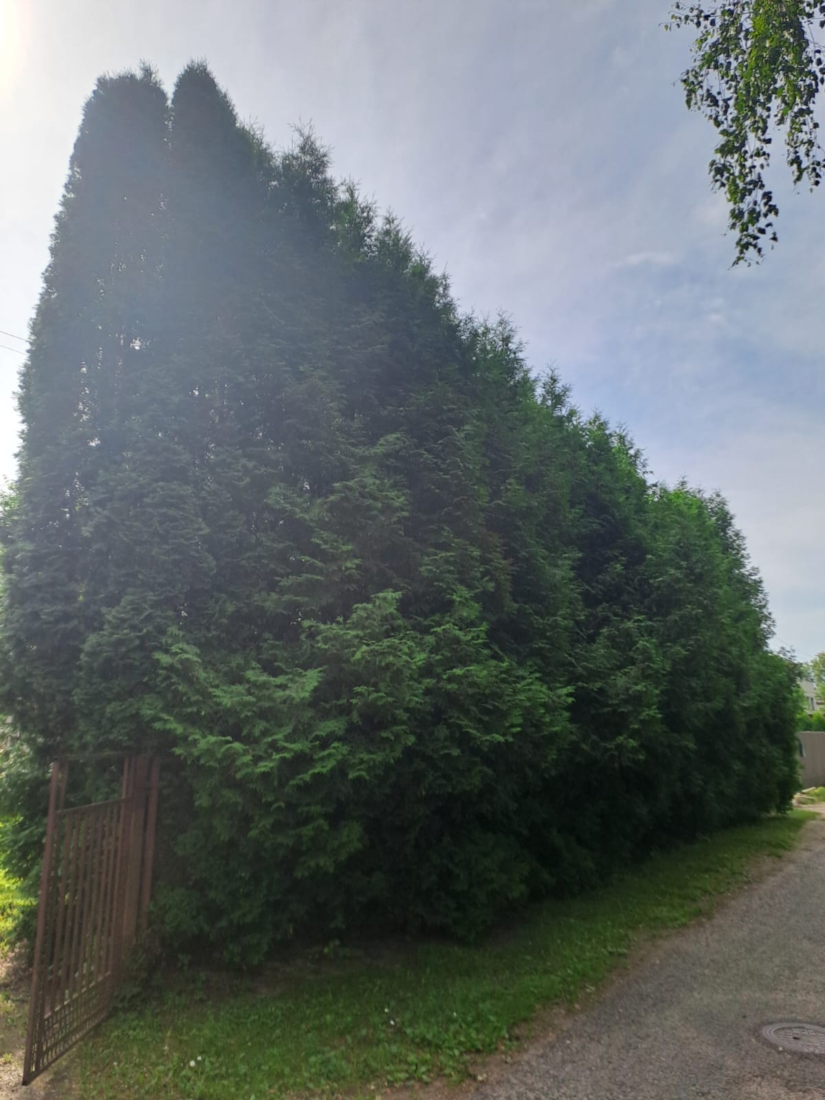 Fotoattēli 4