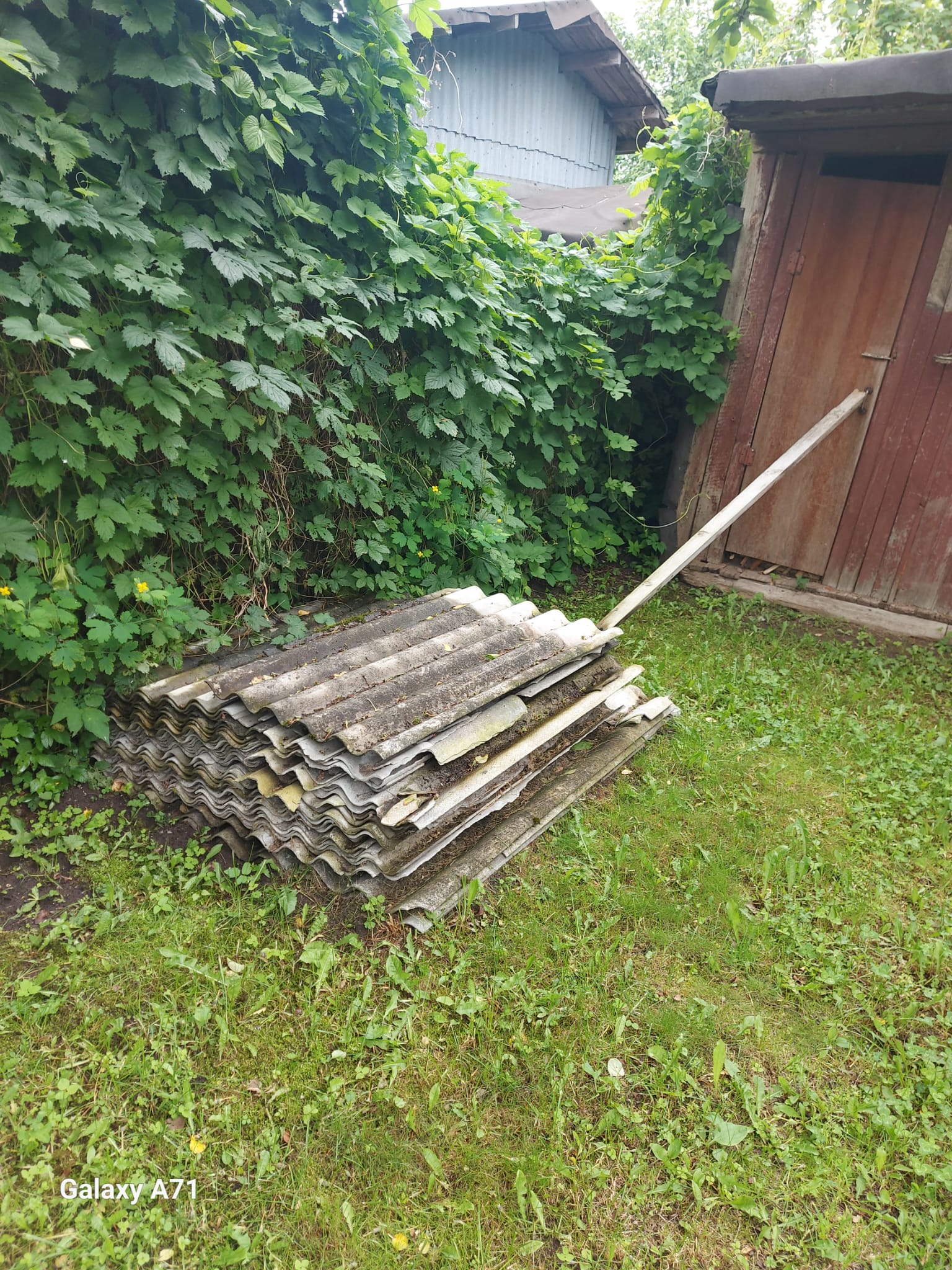 Photos 2