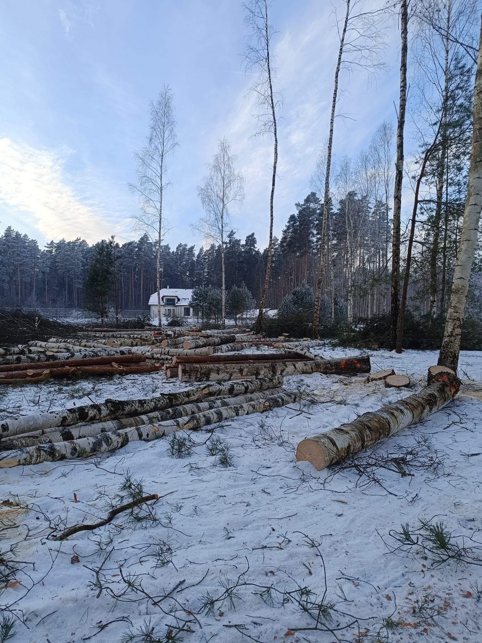 Фотографии 11