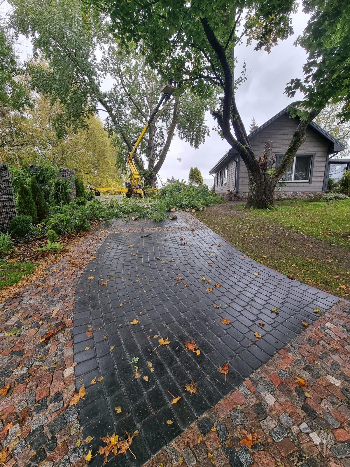 Fotoattēli 3