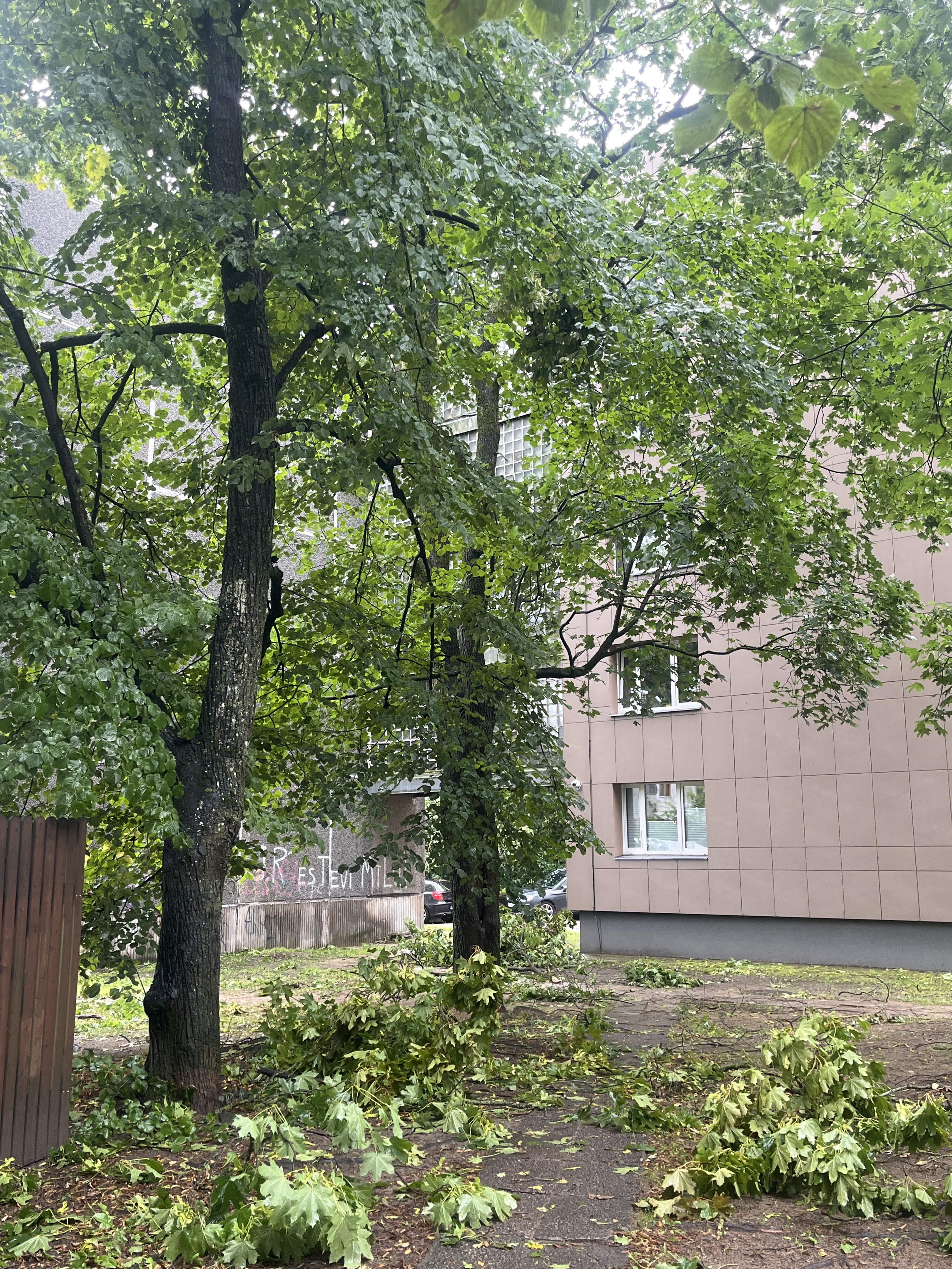 Photos 1