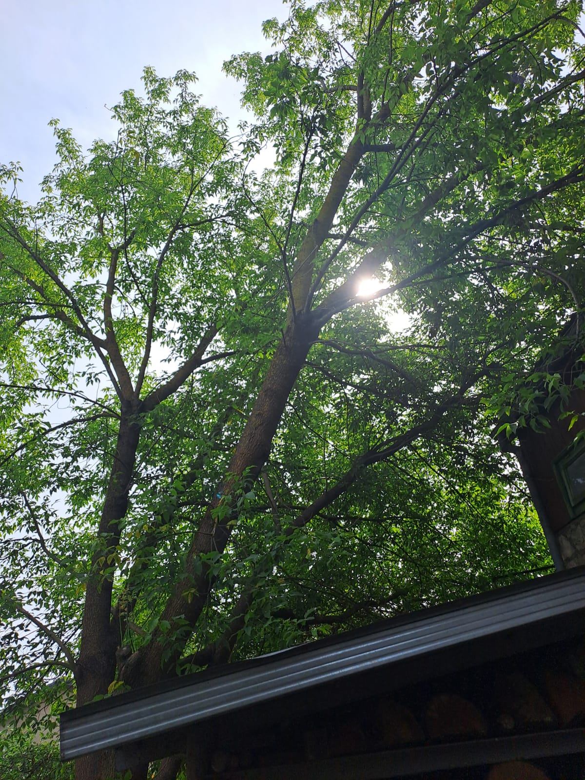 Fotoattēli 2