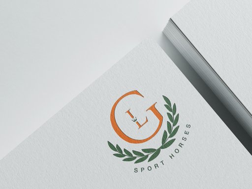 Portfolio image 1