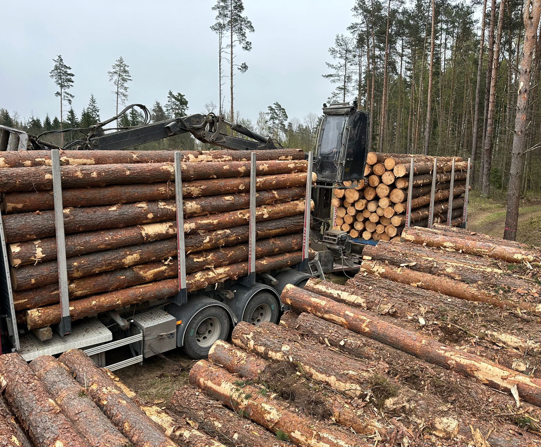 Fotoattēli 6
