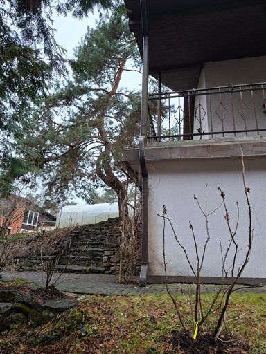 Galerijas attēls 4