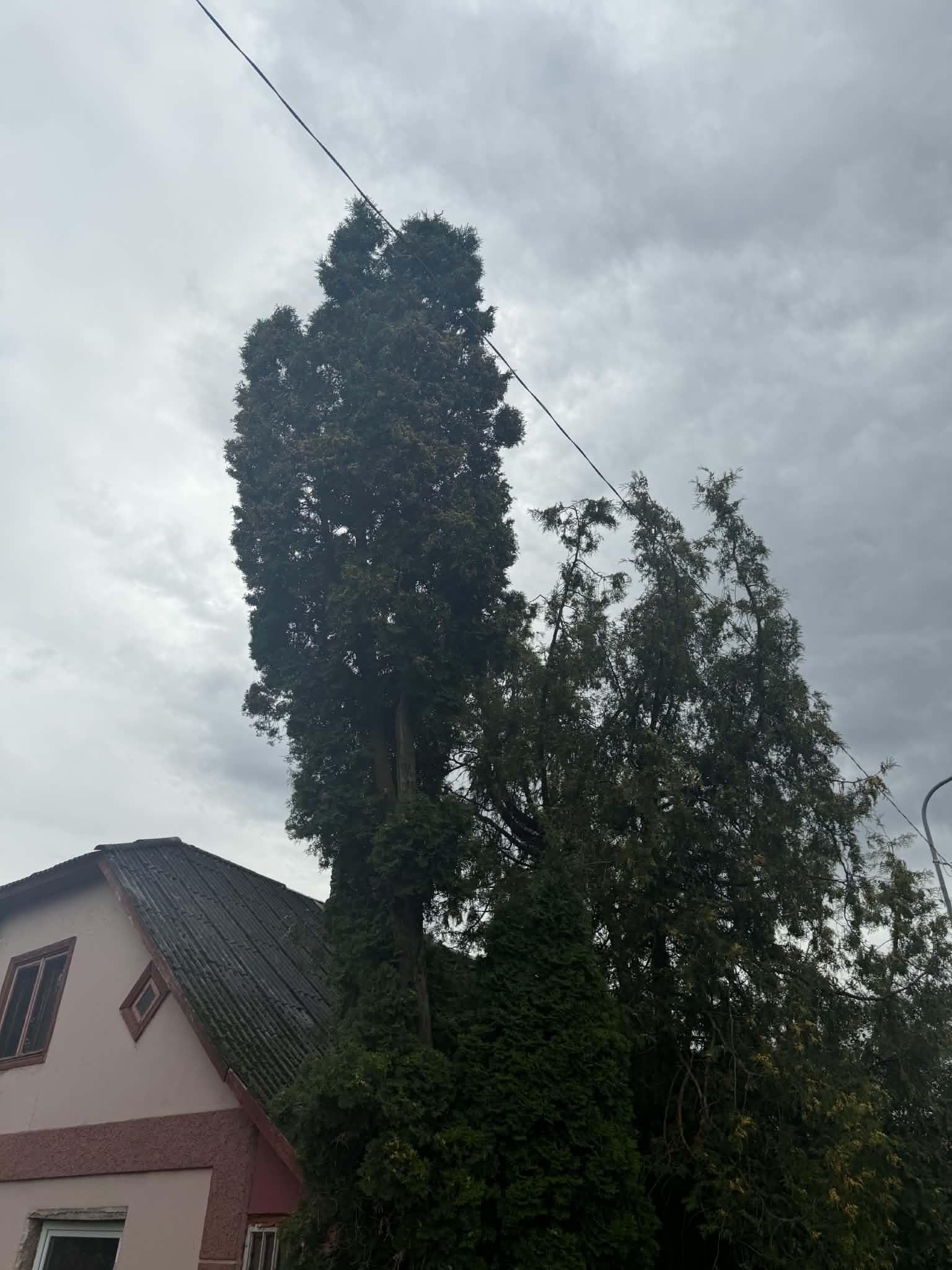 Fotoattēli 4