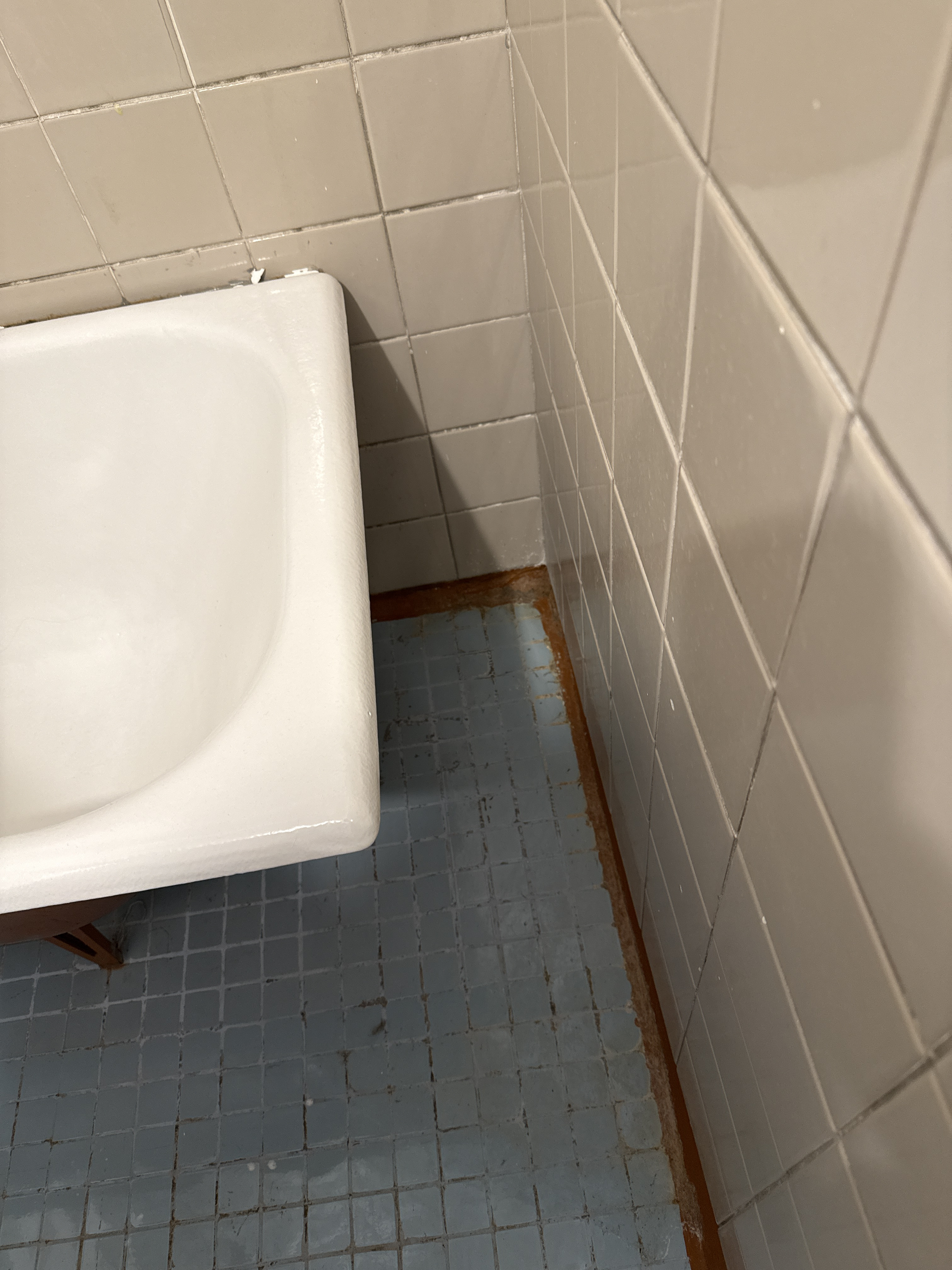 Fotoattēli 2