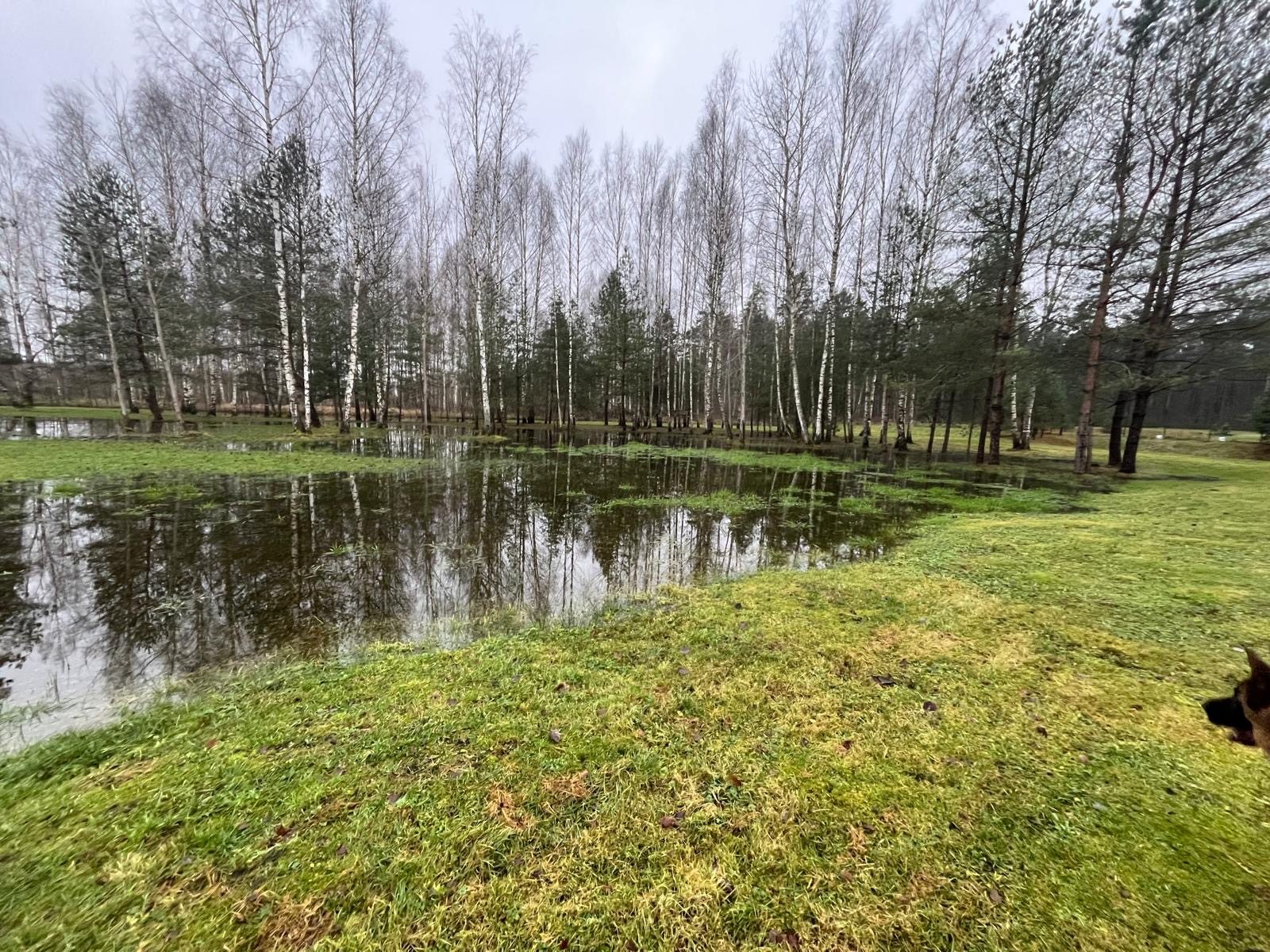 Photos 1