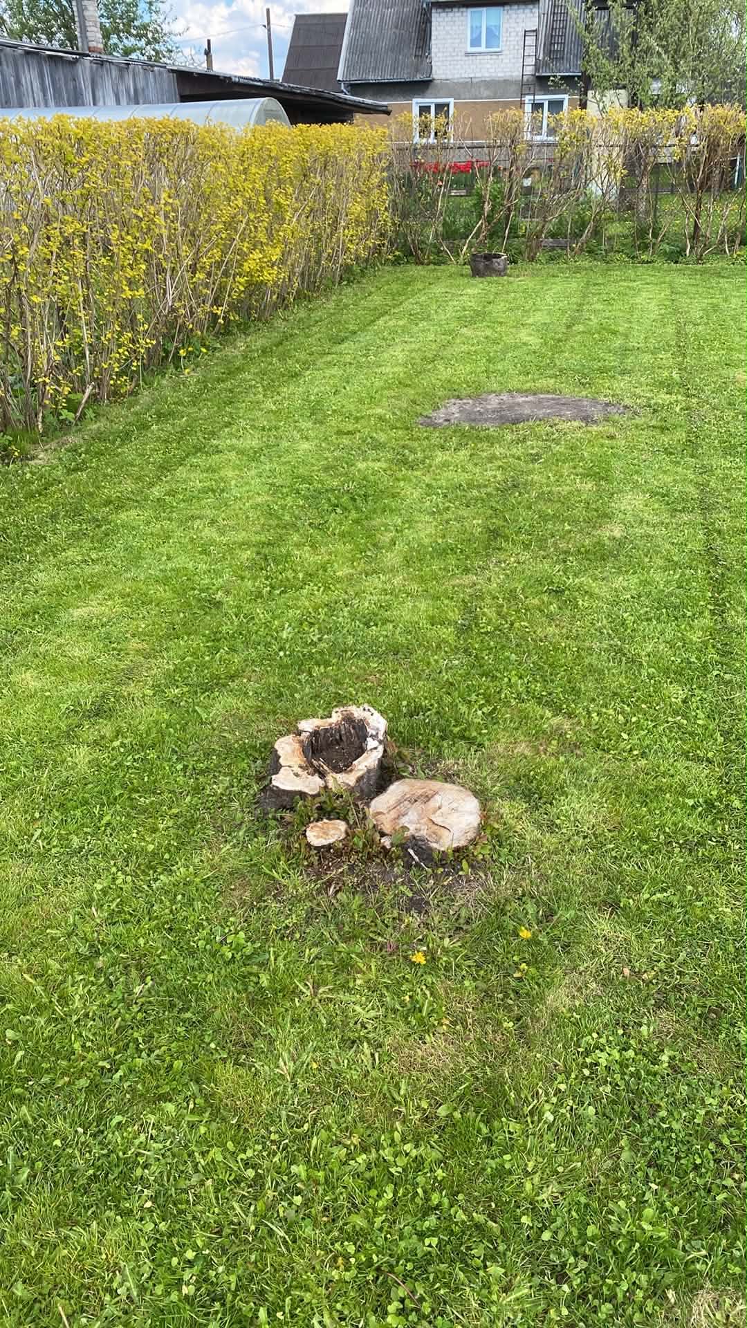 Photos 1