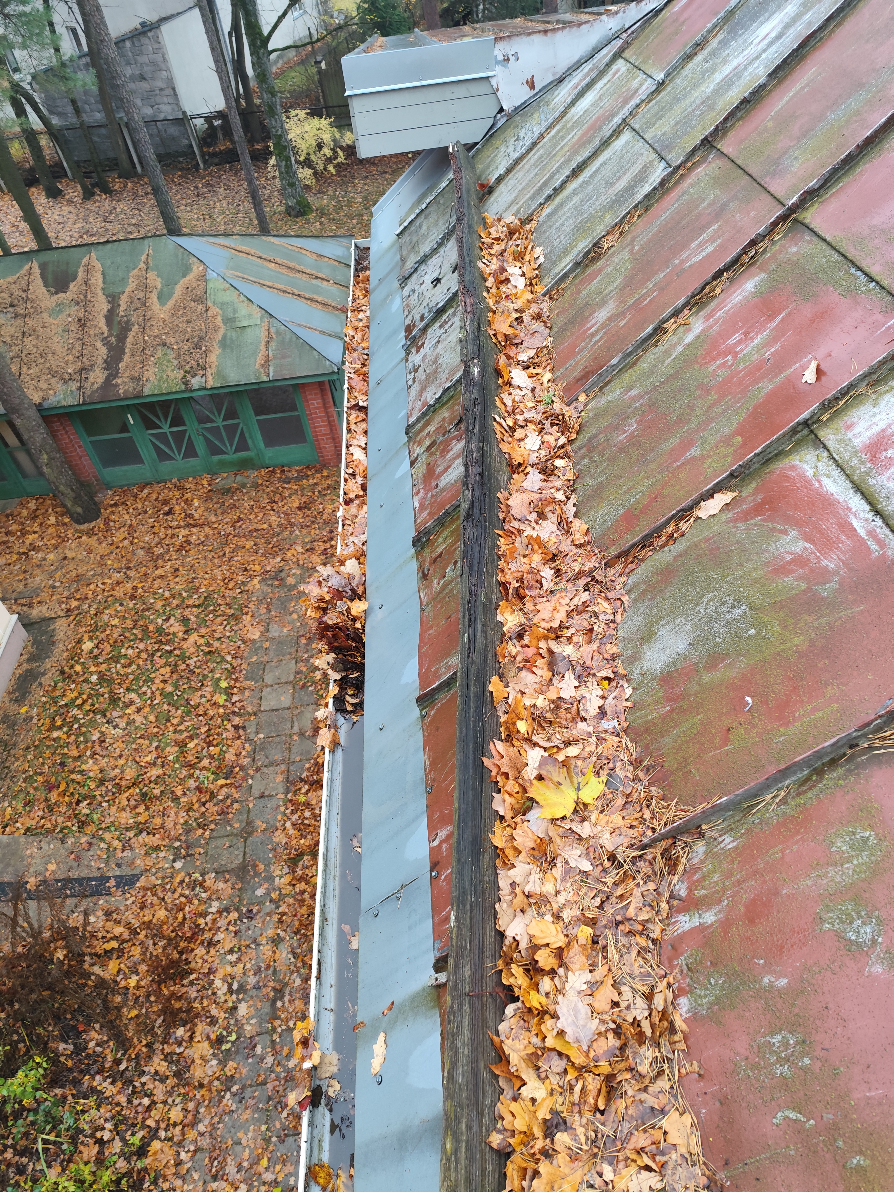 Fotoattēli 36