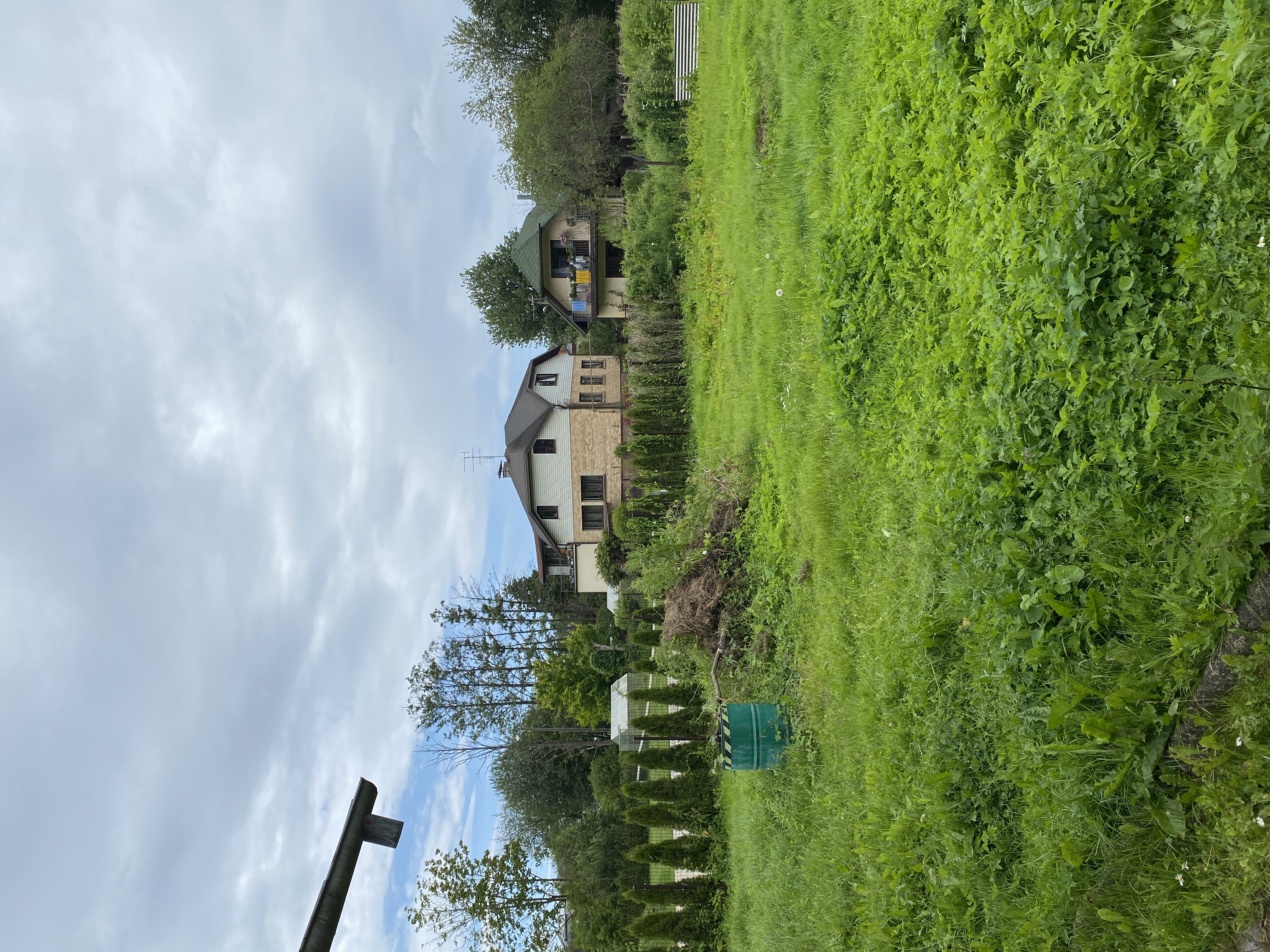 Photos 3