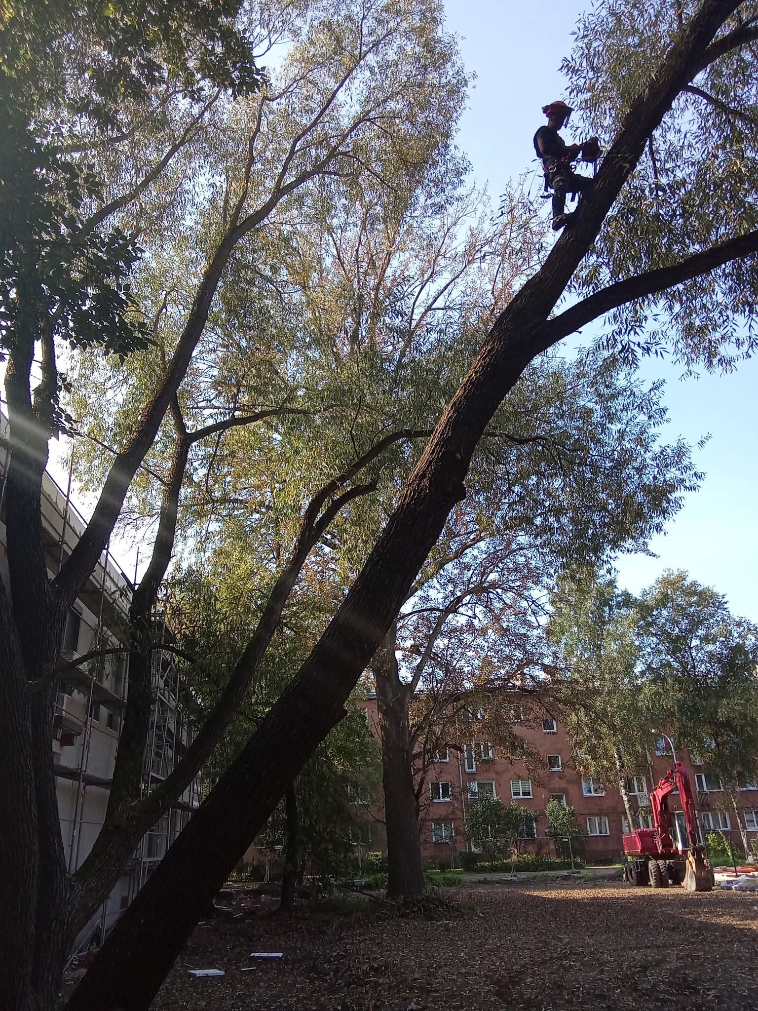Fotoattēli 7