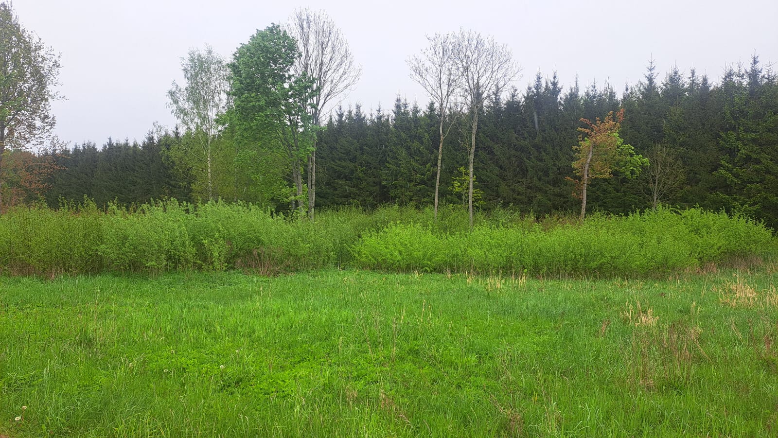 Fotoattēli 11