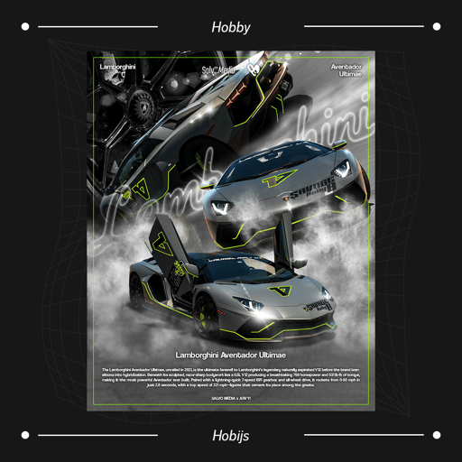Portfolio image 4