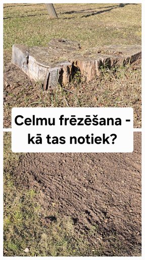 Galerijas attēls 1