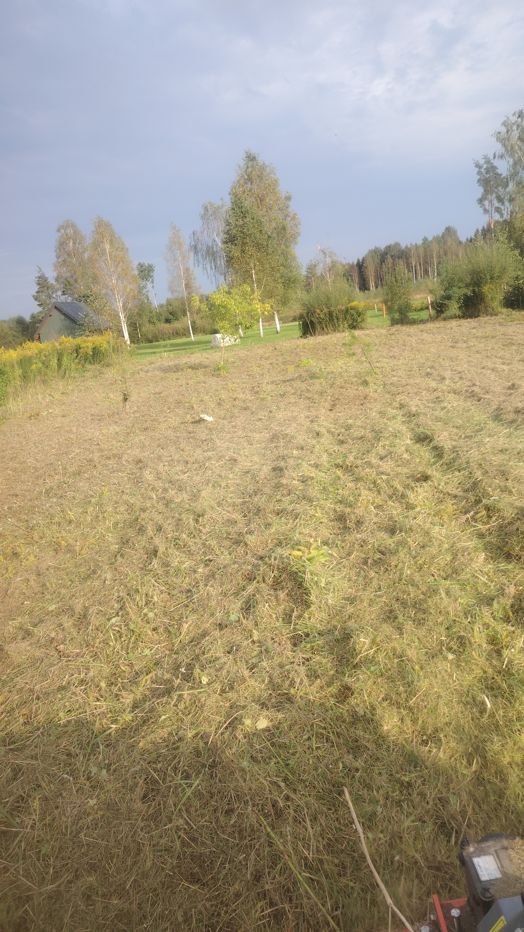 Fotoattēli 4
