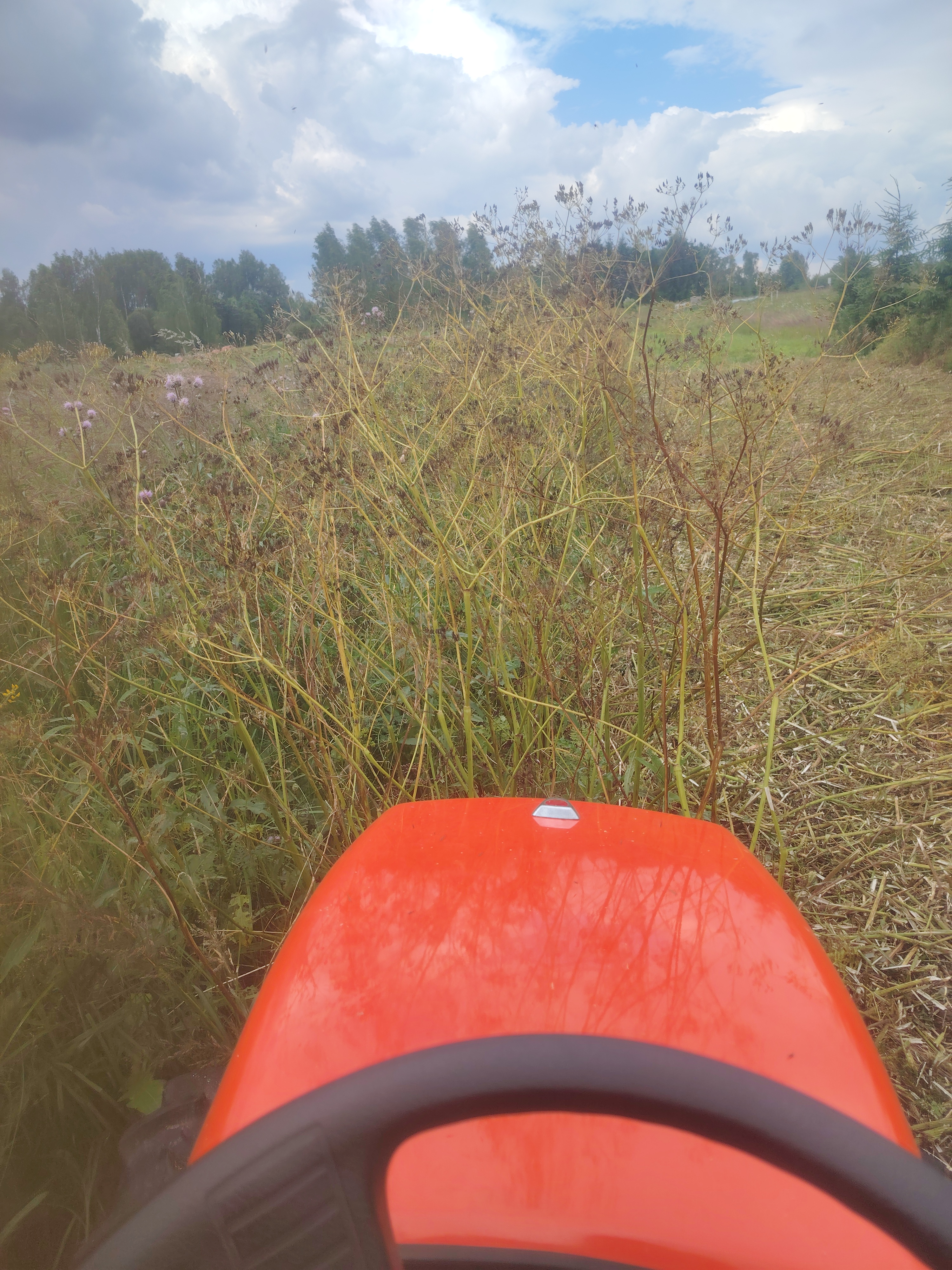 Fotoattēli 15