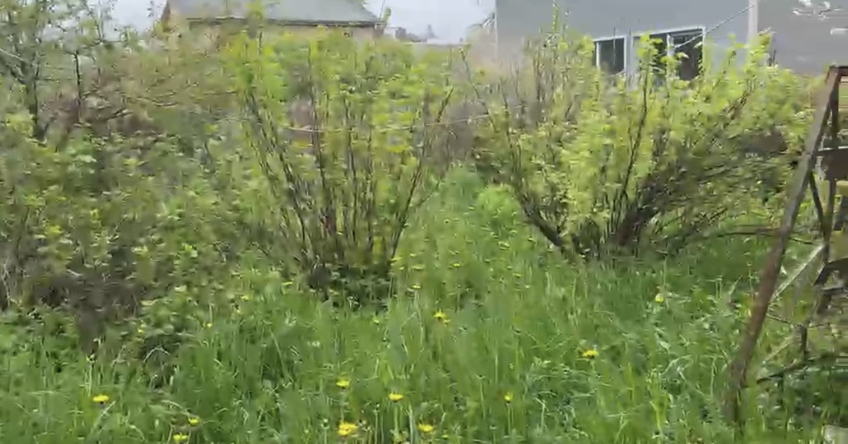 Fotoattēli 2