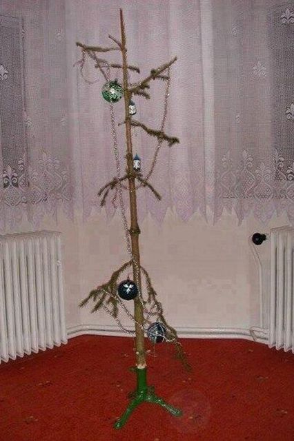 Photos 1