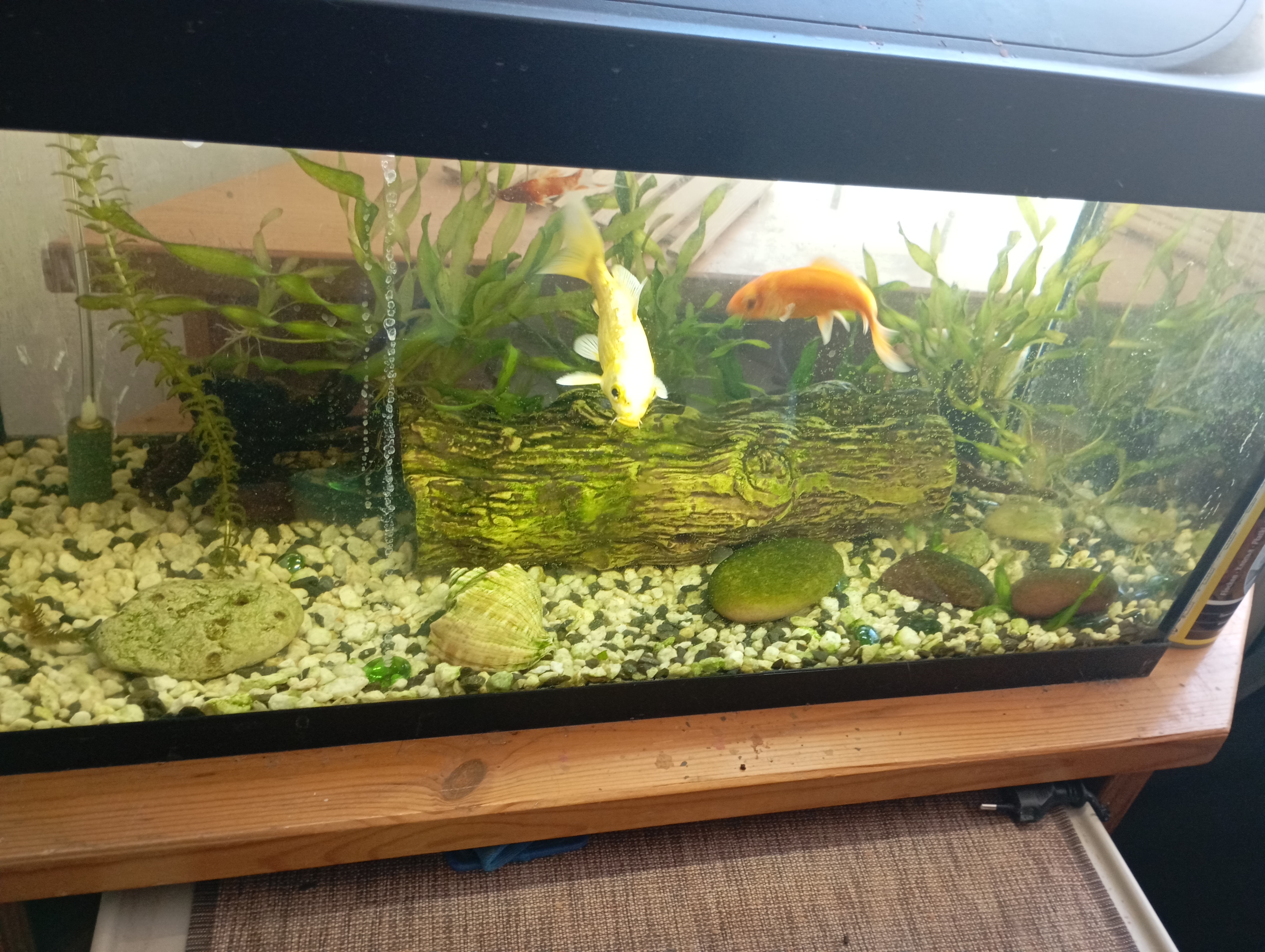 Fotoattēli 2