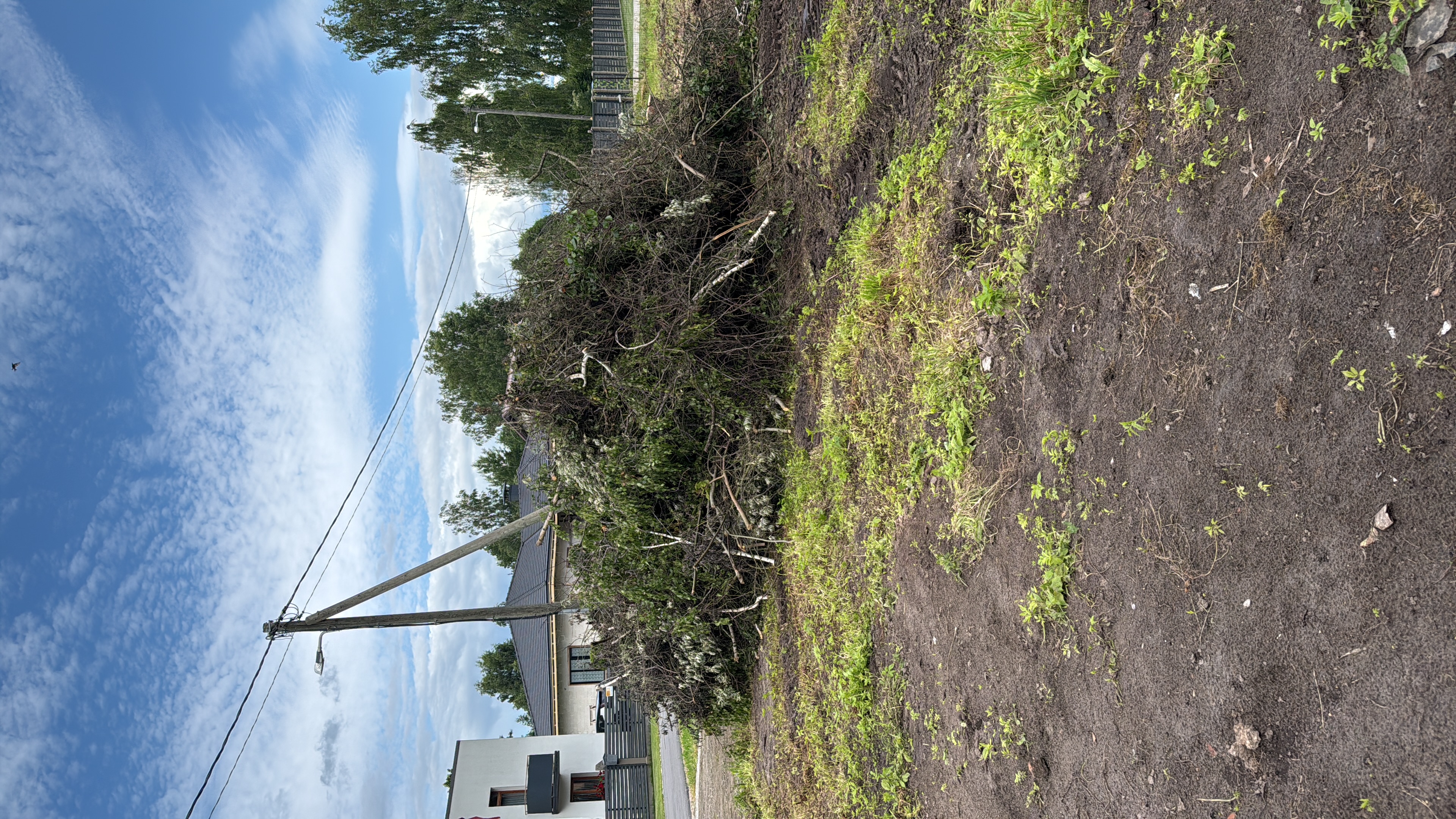 Photos 1