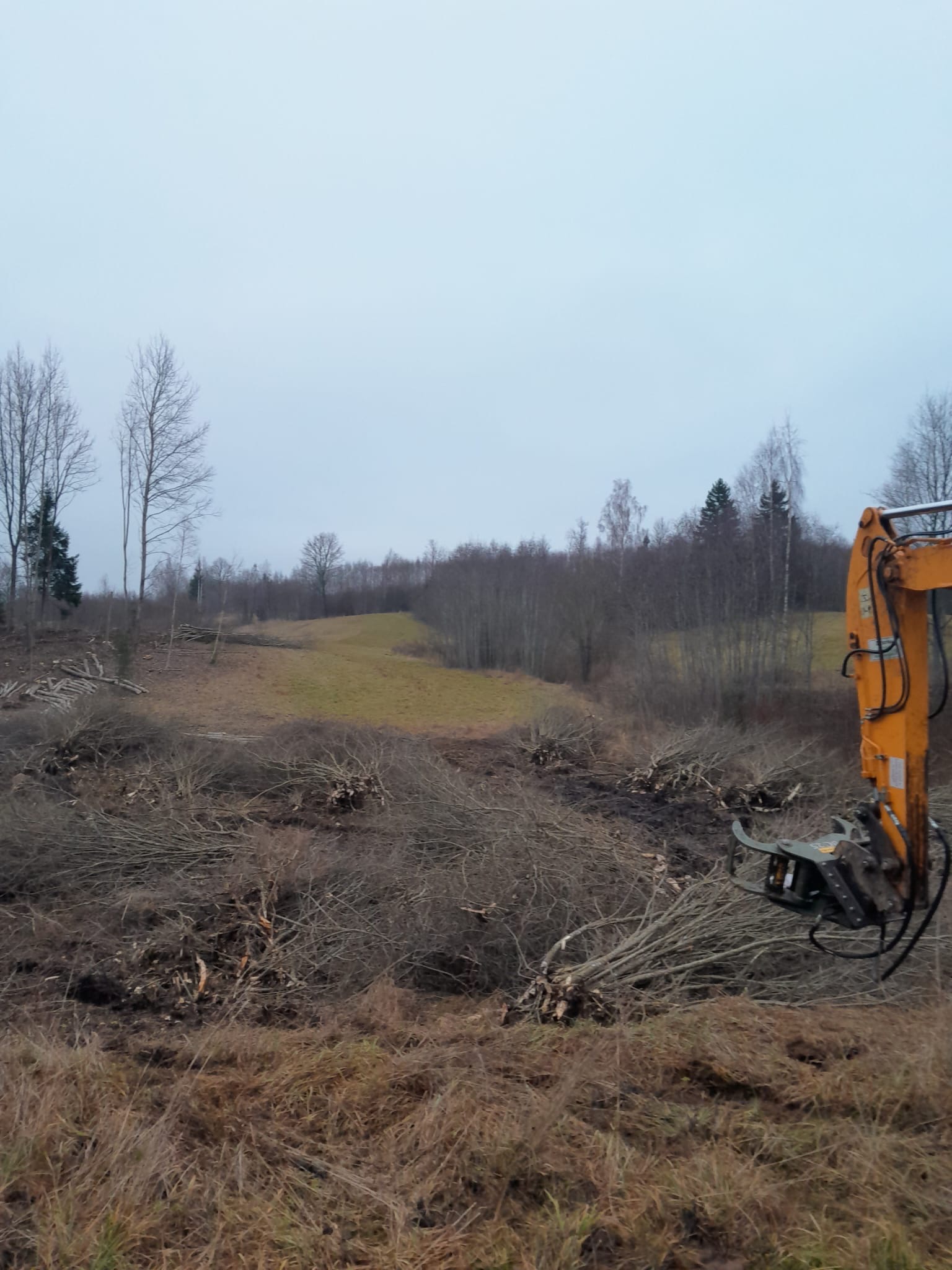 Fotoattēli 7